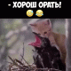 Без описания