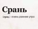 следующее фото