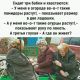 Без описания