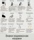 следующее фото