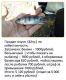 Без описания
