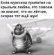 Без описания