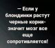 Без описания