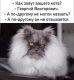 следующее фото