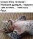 Без описания
