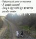 Без описания