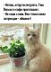 Без описания