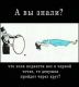 Без описания