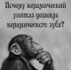 Без описания
