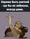 Без описания