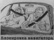 Без описания