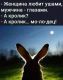 Без описания