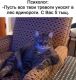 Без описания