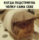 Без описания