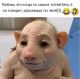 Без описания