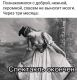 Без описания
