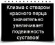 Без описания