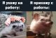 Без описания