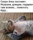 следующее фото
