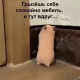 Без описания