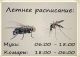 следующее фото