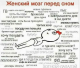 Без описания
