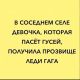Без описания