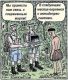 Без описания