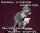 Кредитор