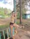 Без описания