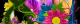 5cc9f2b38314d9.403192941556738739_5cc9f2b3831596.12858368.png