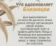 Без описания