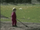 Без описания