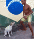 Без описания