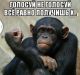 Без описания