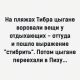 Без описания