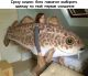 Без описания