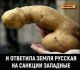 Без описания