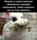 предыдушее фото