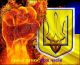 Без описания