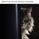 Без описания