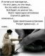 следующее фото