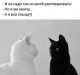 Без описания