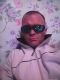 предыдушее фото