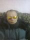 Без описания