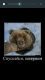 Без описания