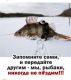 Без описания
