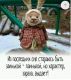 Без описания