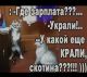 Без описания