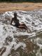 Без описания